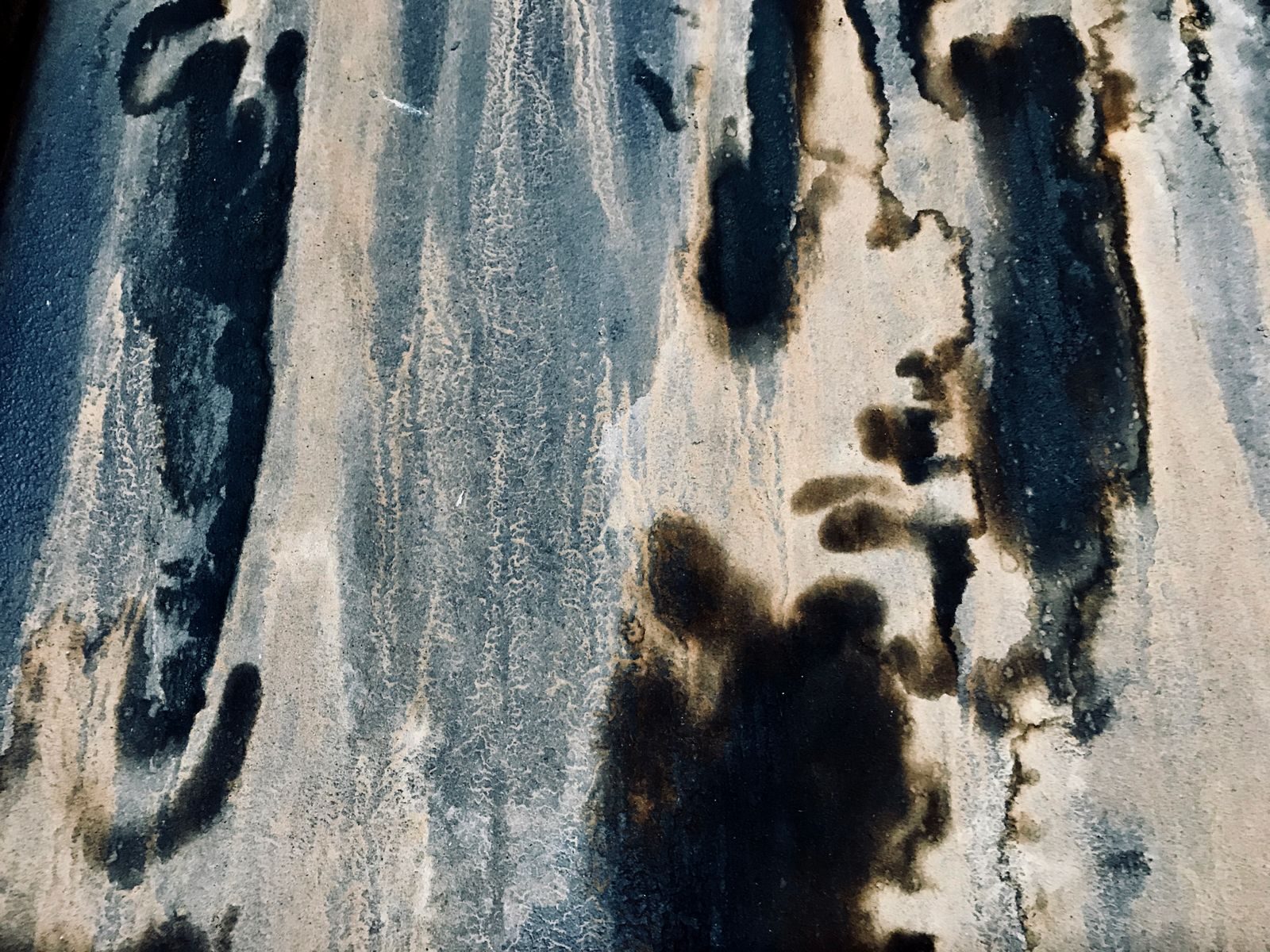 Mold After Water Damage in Clarksville, TN